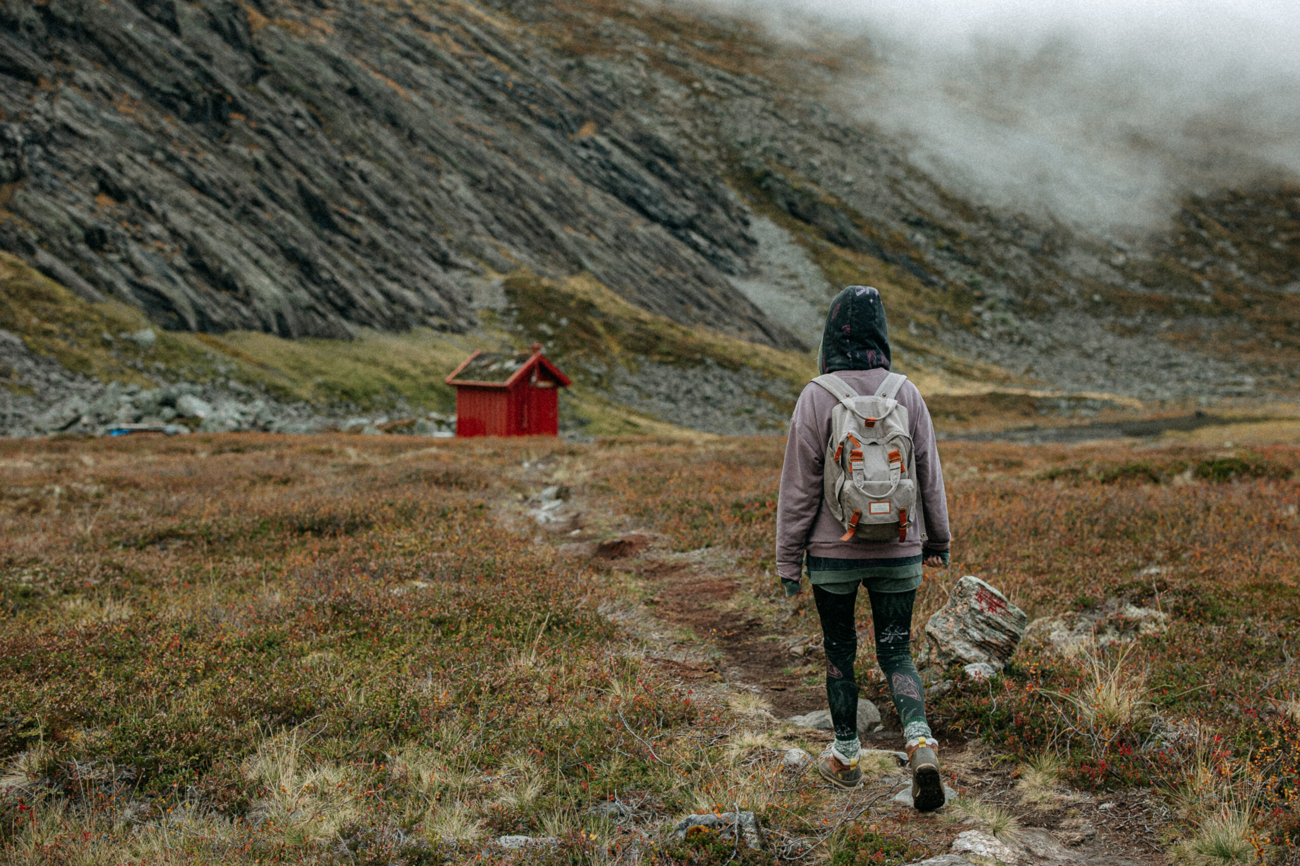 Back view of a woman wearing a forest green hoodie with fern and moth embroidery, walking toward a red wooden cabin in a mountainous landscape.
