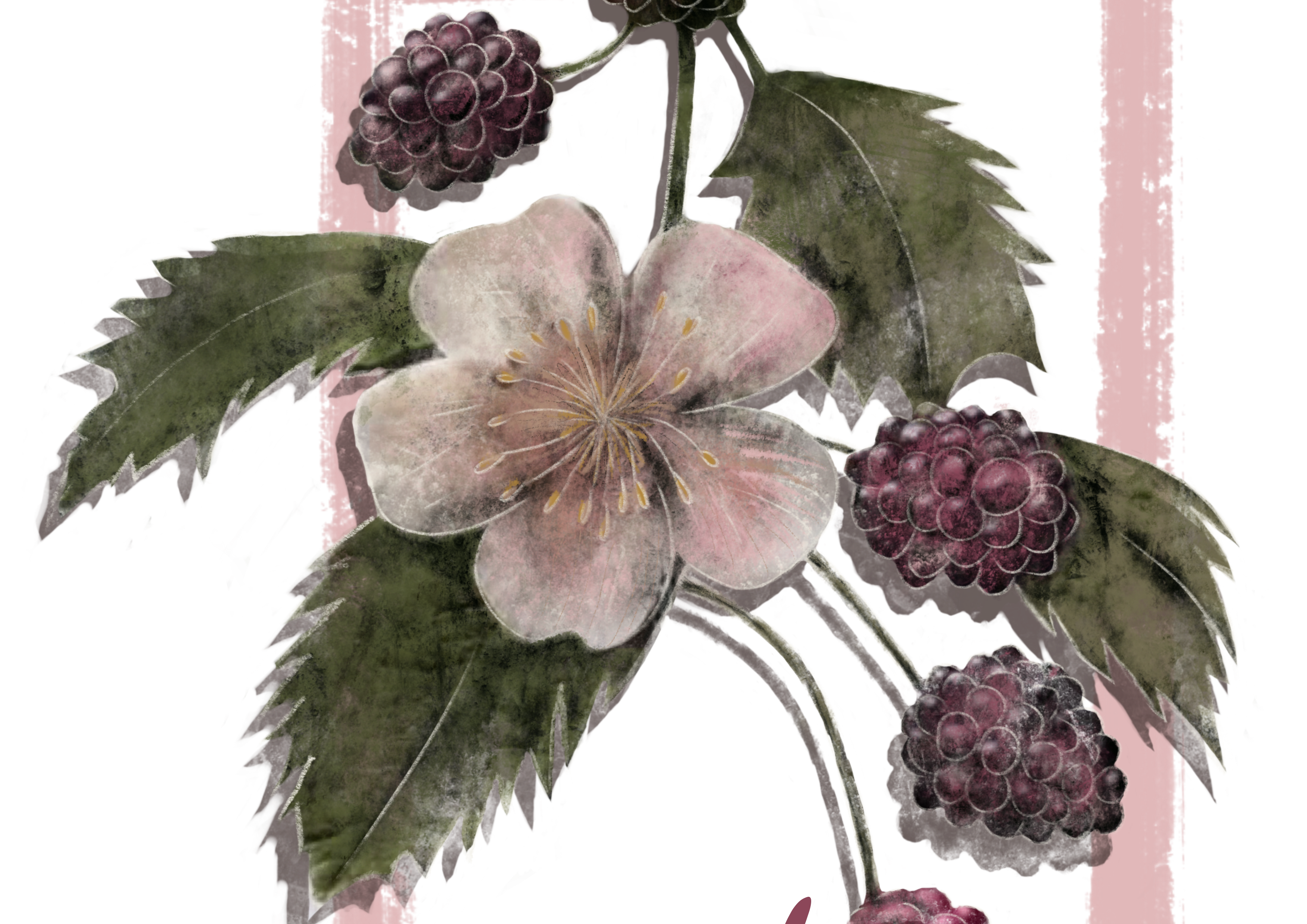Illustrated tile with garden berries and petals — whimsical and botanical design for the Berry Enchanting Collection.