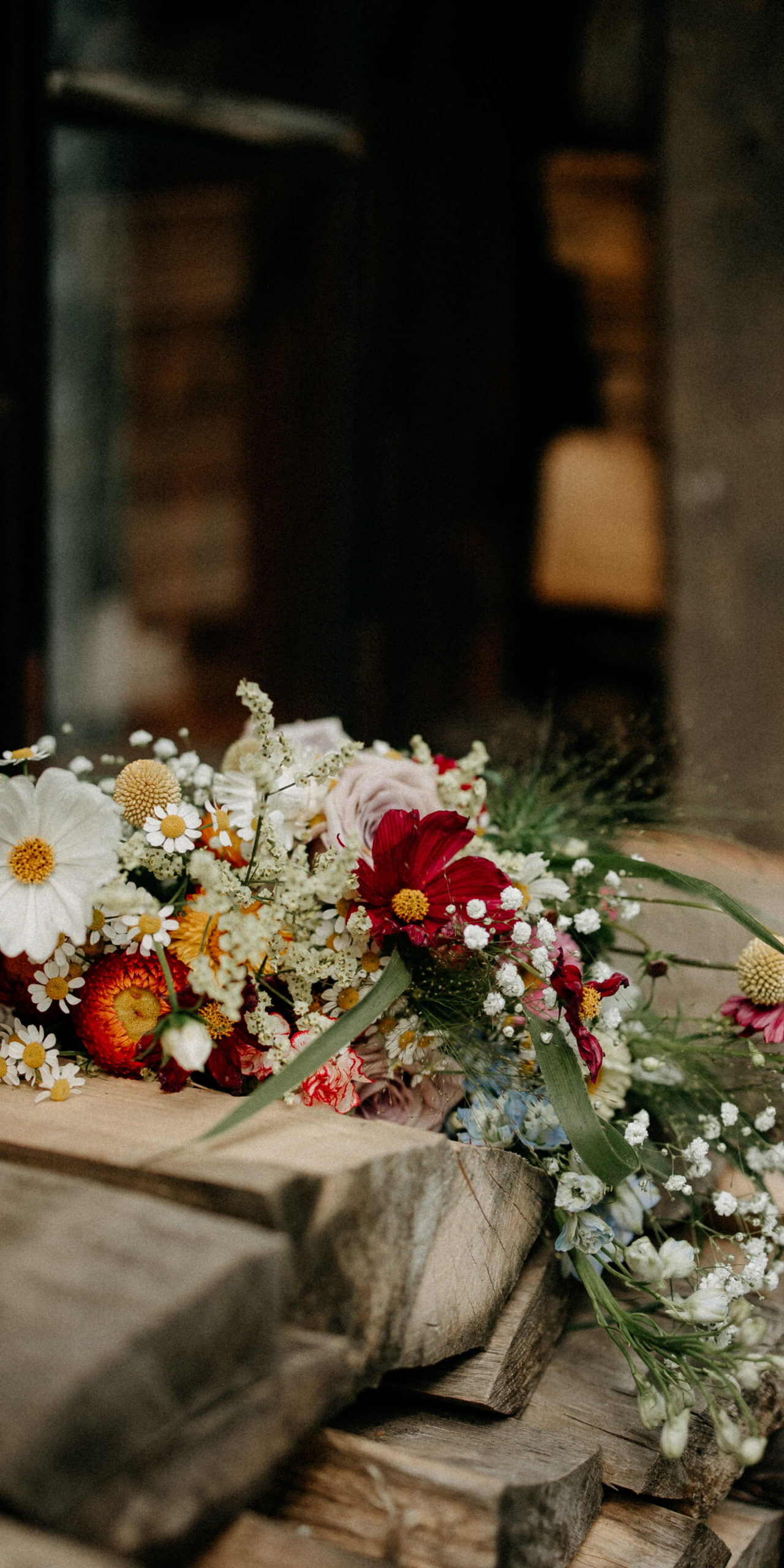 Close-up of a soft wildflower bouquet resting on stacked firewood beside a dark wooden cabin — Ferny Tales preorder information section image.